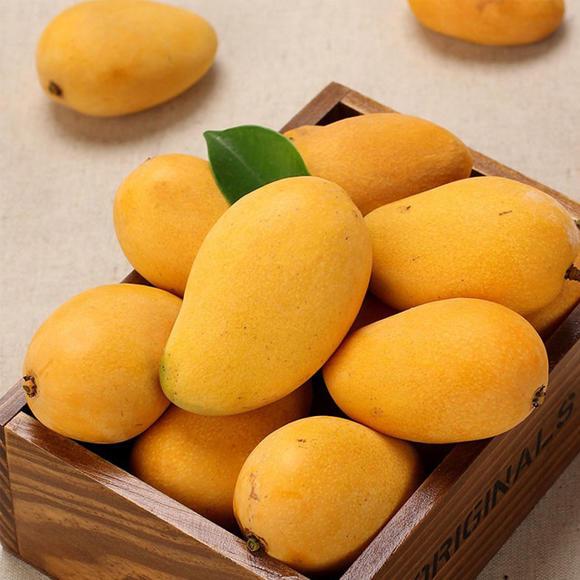 标签商品1720770948752